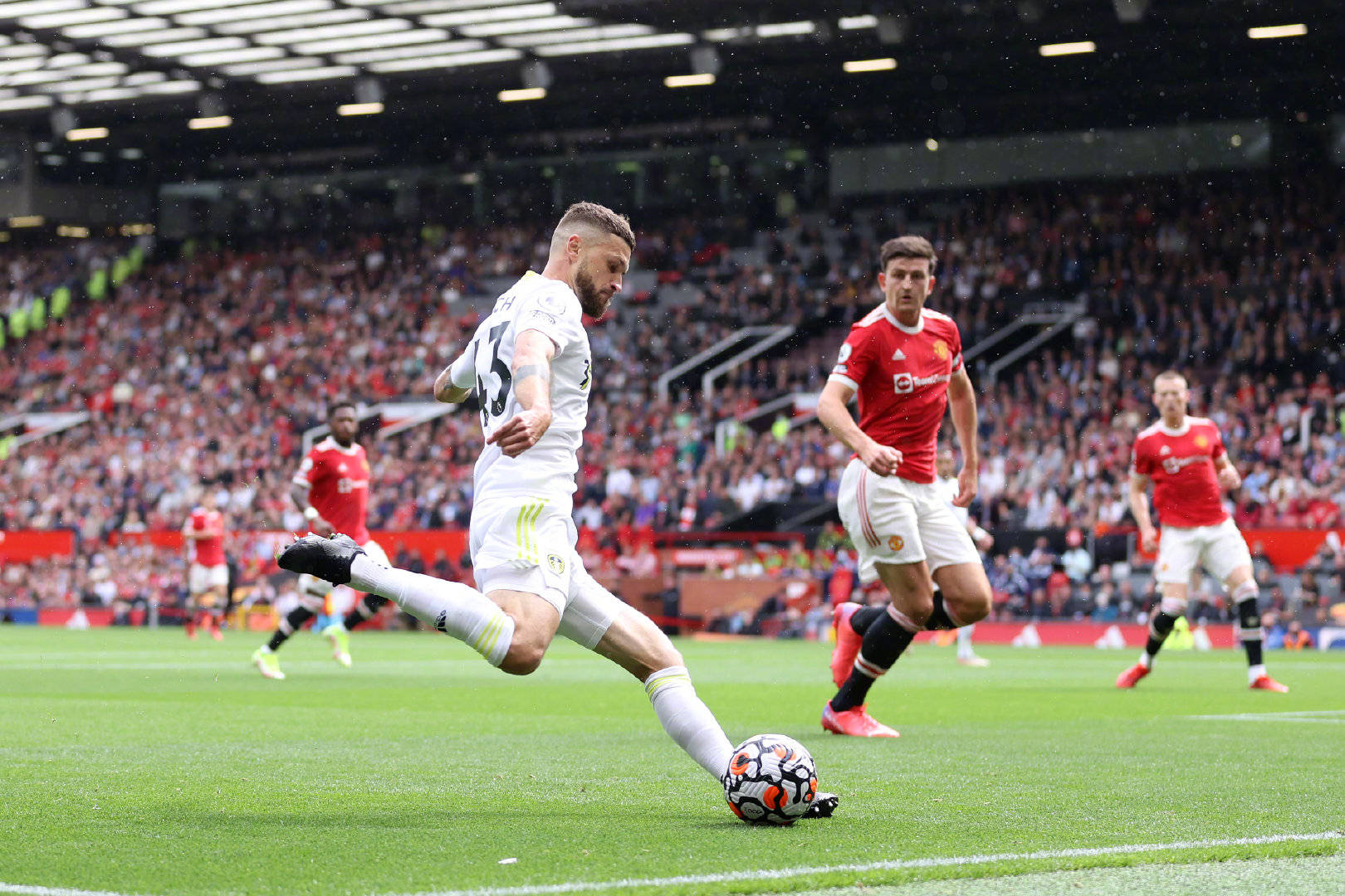 智商与情商 智商与情商